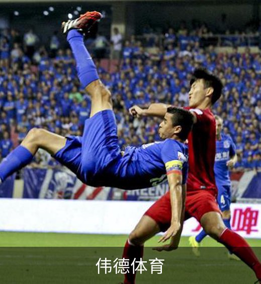 关于伟德体育